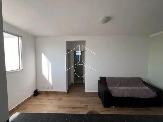 Apartamento aluguel em Região Imediata de Marília, Marília