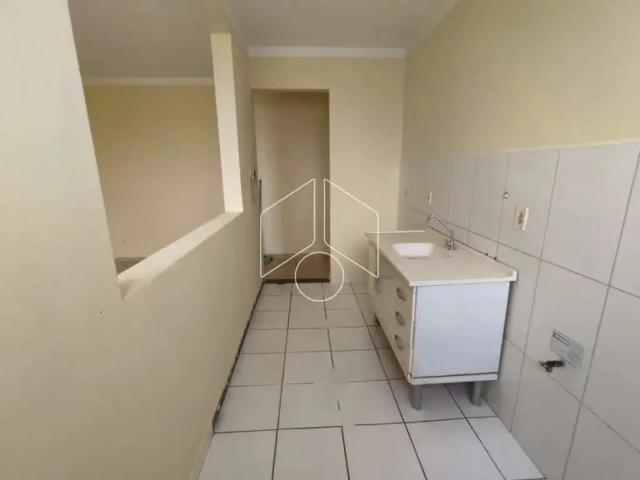 Apartamento aluguel em Região Imediata de Marília, Marília