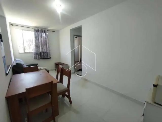 Apartamento aluguel em Região Imediata de Marília, Marília