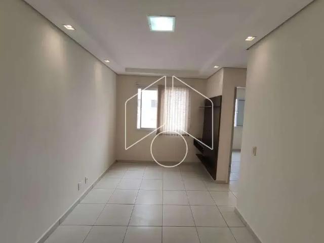 Apartamento aluguel em Região Imediata de Marília, Marília