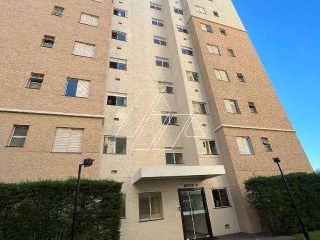 Apartamento aluguel em Marília, Região Geográfica Intermediária de Marília