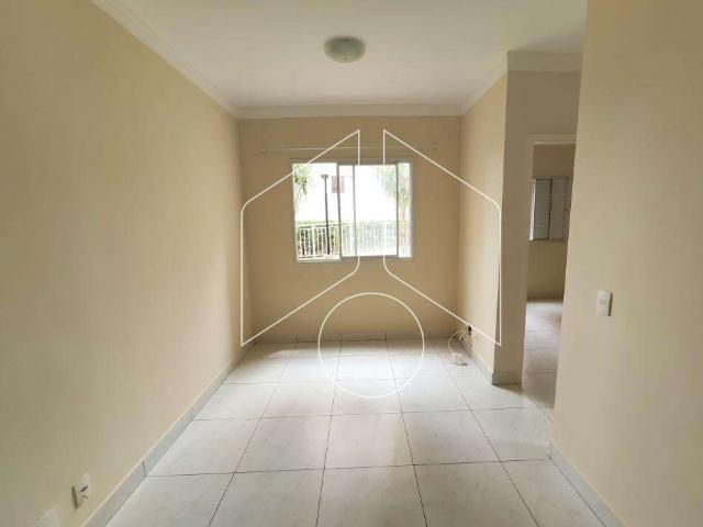 Apartamento aluguel em Marília, Conserva Apartamento aluguel em Marília, Conserva