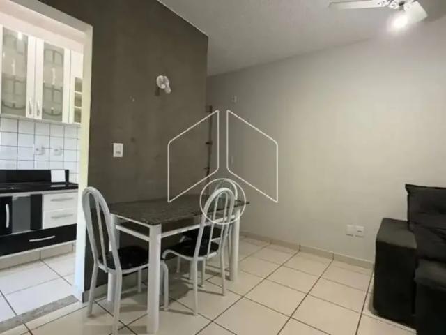 Apartamento aluguel em Região Imediata de Marília, Marília