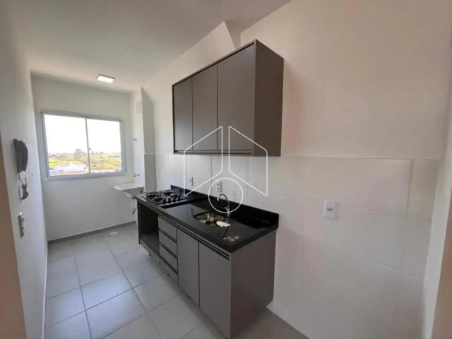 Apartamento aluguel em Região Imediata de Marília, Marília