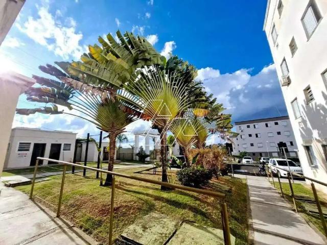 Apartamento aluguel em Marília, Região Geográfica Intermediária de Marília