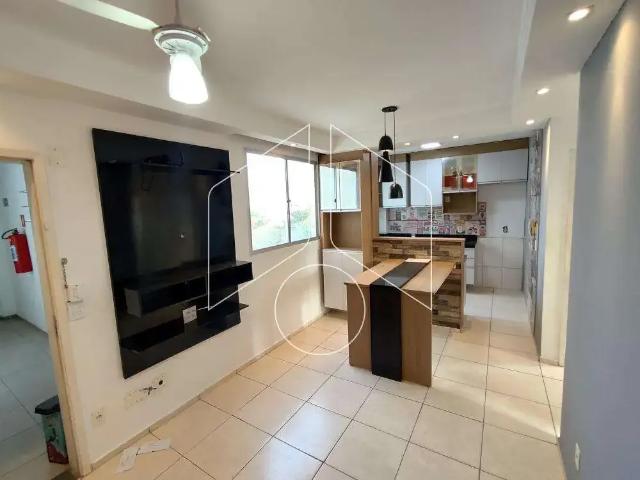 Apartamento aluguel em Região Imediata de Marília, Marília