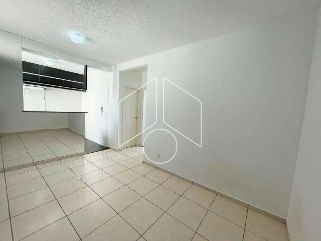 Apartamento aluguel em Região Imediata de Marília, Marília