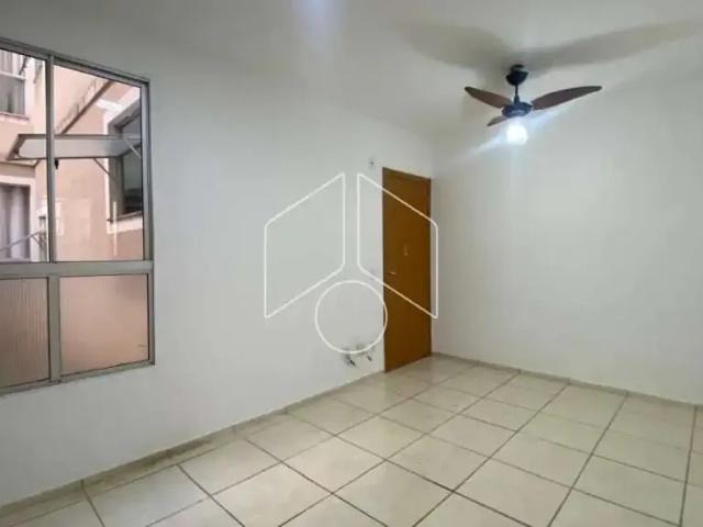 Apartamento aluguel em Região Imediata de Marília, Marília