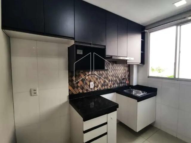 Apartamento aluguel em Região Imediata de Marília, Marília