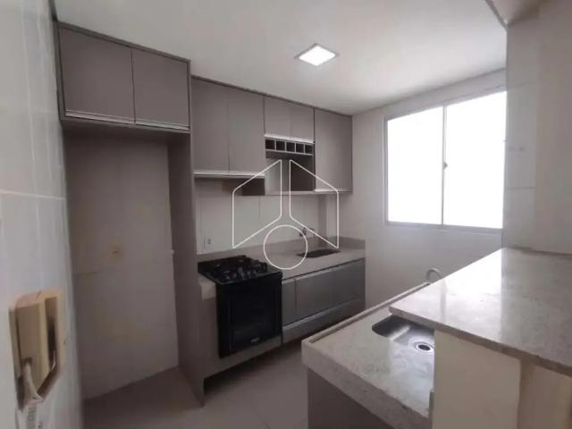 Apartamento aluguel em Região Imediata de Marília, Marília