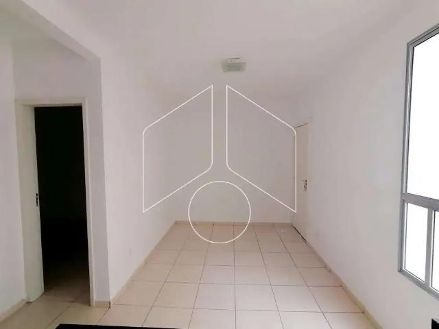 Apartamento aluguel em Região Imediata de Marília, Marília