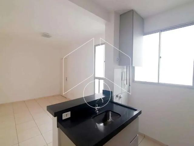 Apartamento aluguel em Região Imediata de Marília, Marília