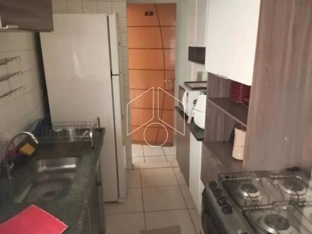 Apartamento aluguel em Região Imediata de Marília, Marília