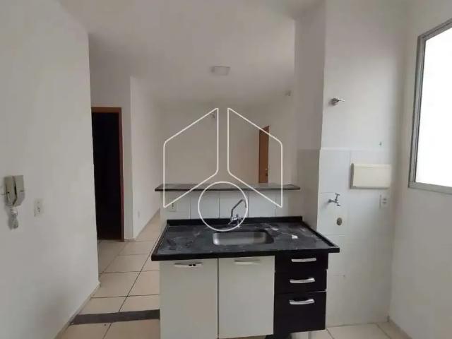Apartamento aluguel em Região Imediata de Marília, Marília