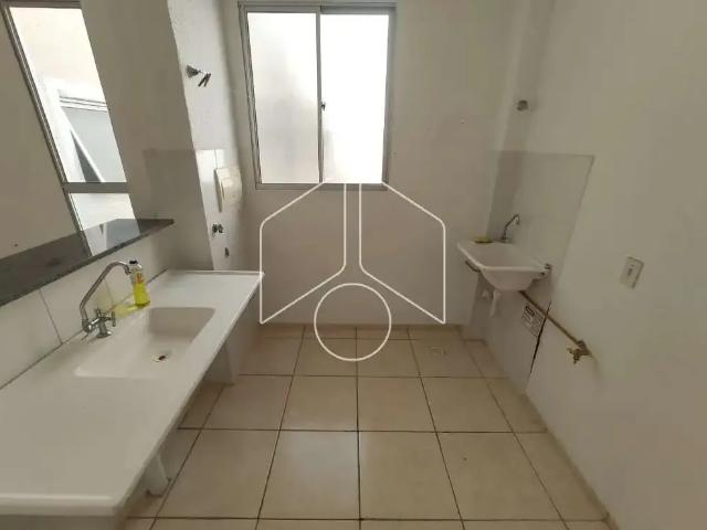 Apartamento aluguel em Região Imediata de Marília, Marília