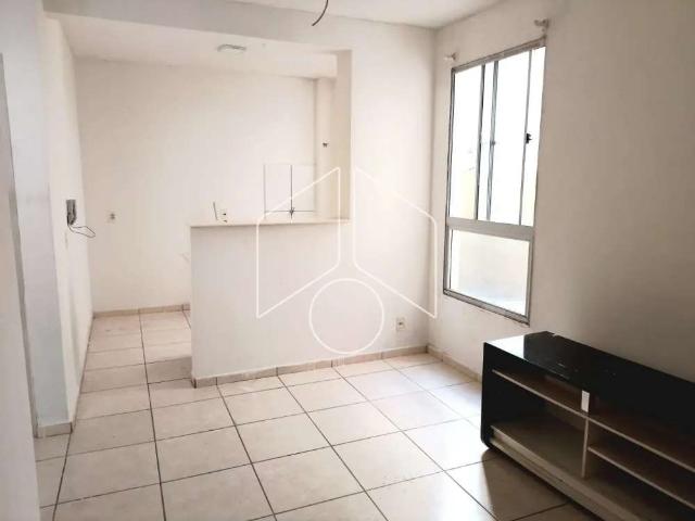 Apartamento aluguel em Marília, Jardim Califórnia Apartamento aluguel em Marília, Jardim Califórnia