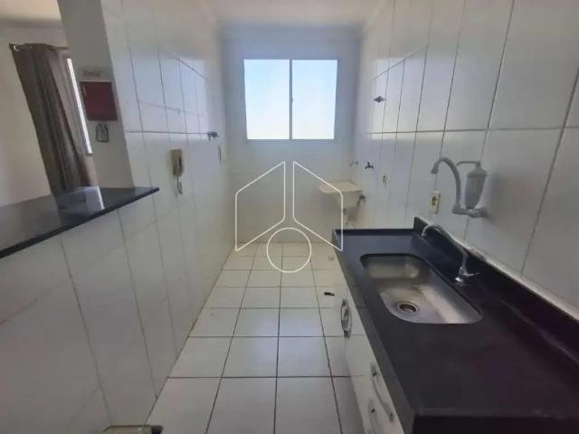 Apartamento aluguel em Região Imediata de Marília, Marília