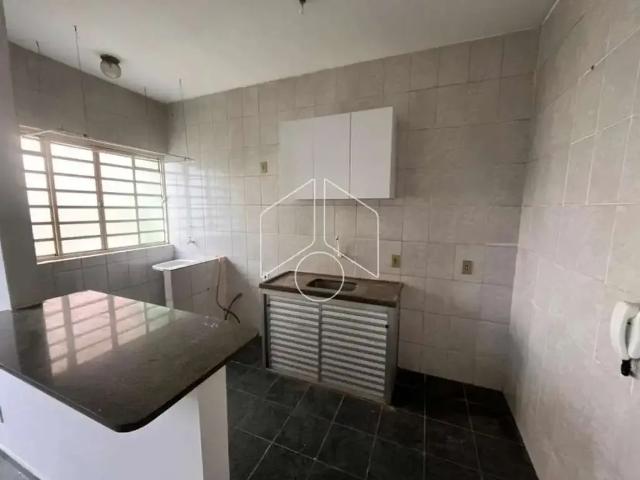 Apartamento aluguel em Região Imediata de Marília, Marília
