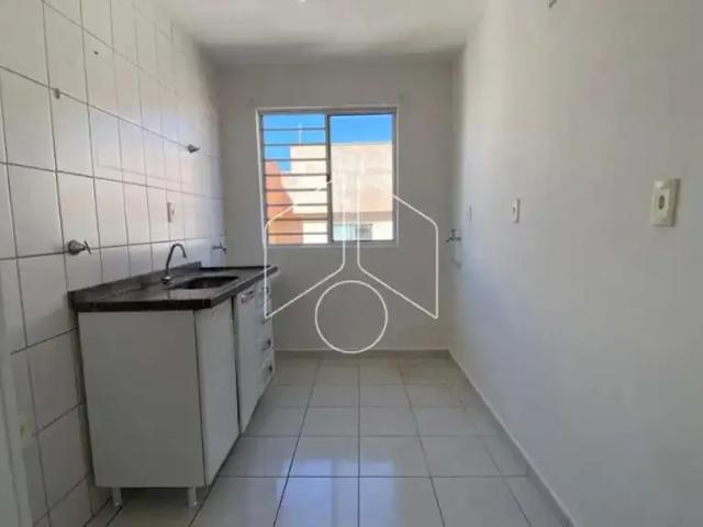 Apartamento aluguel em Região Imediata de Marília, Marília