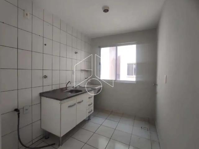 Apartamento aluguel em Região Imediata de Marília, Marília