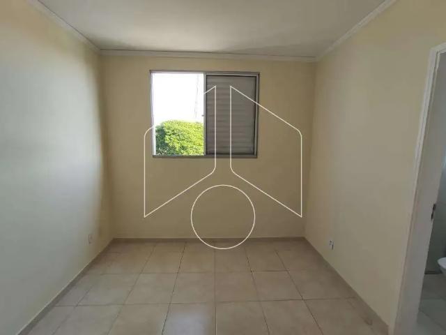 Apartamento aluguel em Região Imediata de Marília, Marília