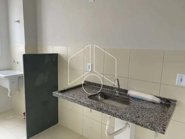 Apartamento aluguel em Região Imediata de Marília, Marília
