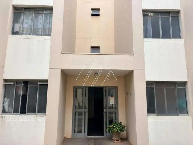 Apartamento aluguel em Região Imediata de Marília, Marília