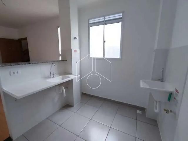 Apartamento aluguel em Região Imediata de Marília, Marília