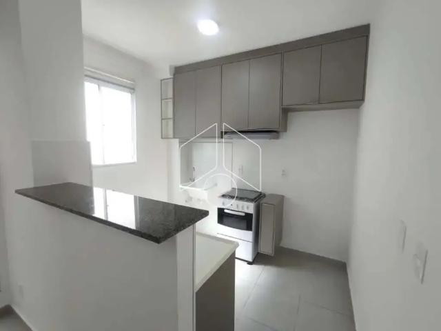 Apartamento aluguel em Região Imediata de Marília, Marília