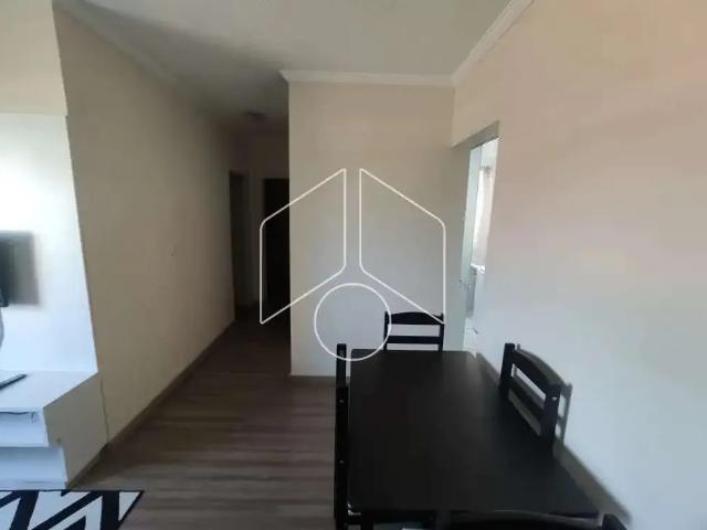 Apartamento aluguel em Região Imediata de Marília, Marília