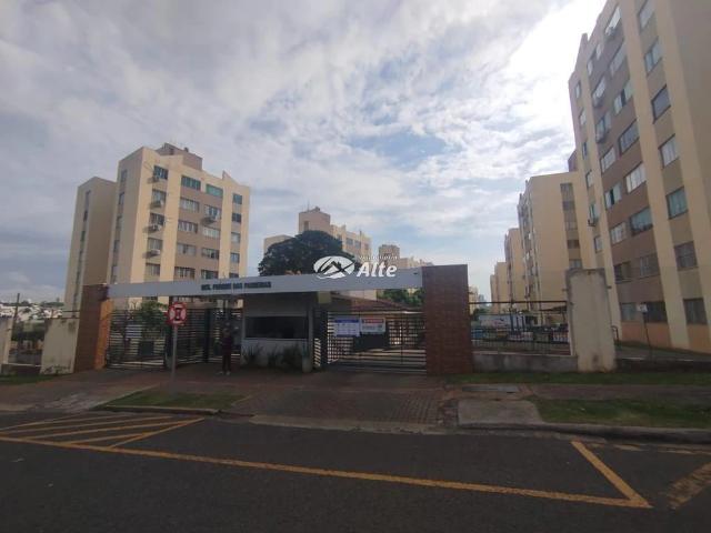 Apartamento aluguel em Maringá, Região Geográfica Intermediária de Maringá
