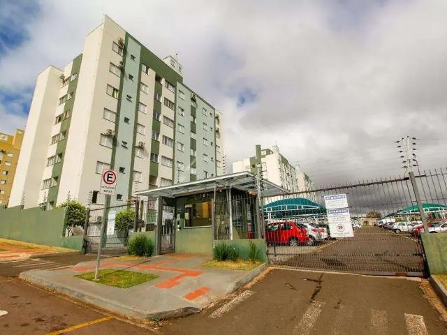 Apartamento aluguel em Região Geográfica Imediata de Maringá, Maringá