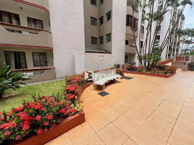 Apartamento aluguel em Região Geográfica Imediata de Maringá, Maringá