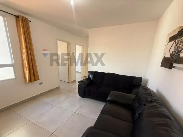Apartamento aluguel em Região Imediata de Campinas, Região Metropolitana de Campinas