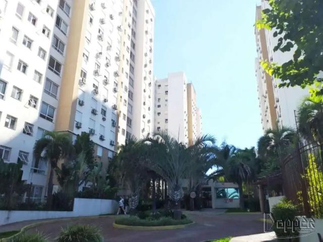 Apartamento aluguel em Região Geográfica Imediata de Novo Hamburgo - São Leopoldo, Região Metropolitana de Porto Alegre