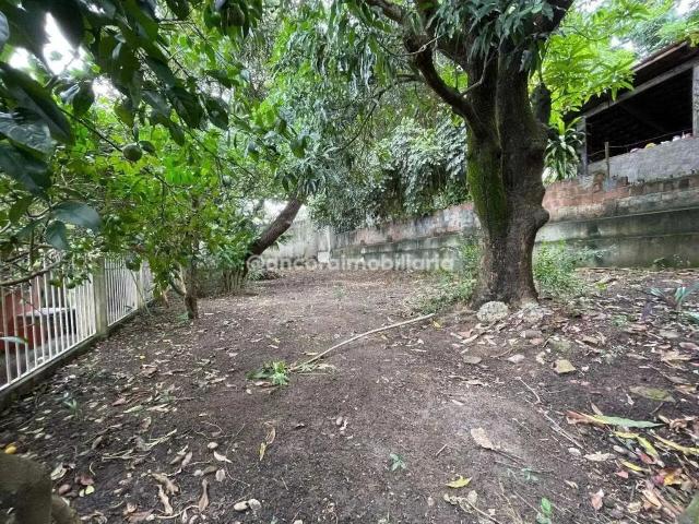 Apartamento aluguel em Região Geográfica Imediata do Recife, Região Metropolitana do Recife