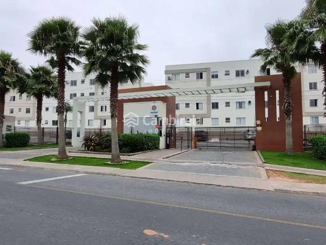 Apartamento aluguel em Região Geográfica Imediata de Florianópolis, Palhoça