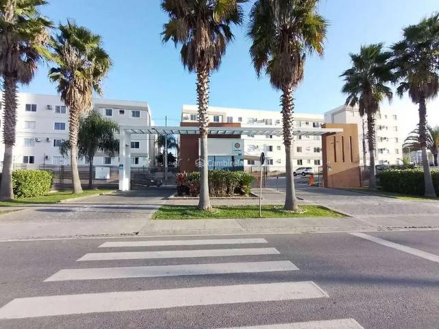 Apartamento aluguel em Região Geográfica Imediata de Florianópolis, Palhoça