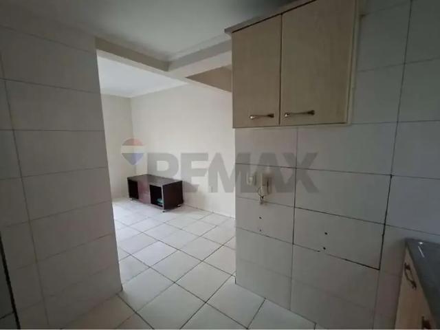 Apartamento aluguel em Região Geográfica Imediata de Passo Fundo, Passo Fundo