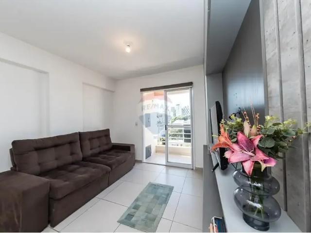 Apartamento aluguel em Região Geográfica Imediata de Passo Fundo, Passo Fundo