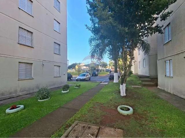Apartamento aluguel em Região Geográfica Imediata de Passo Fundo, Passo Fundo