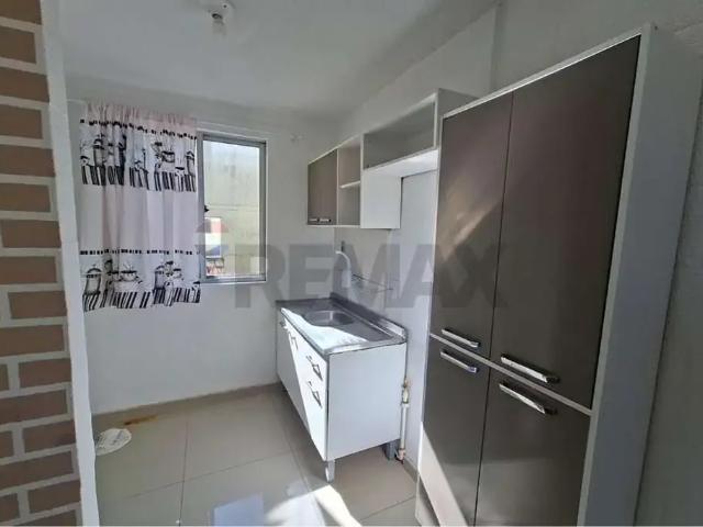 Apartamento aluguel em Região Geográfica Imediata de Passo Fundo, Passo Fundo