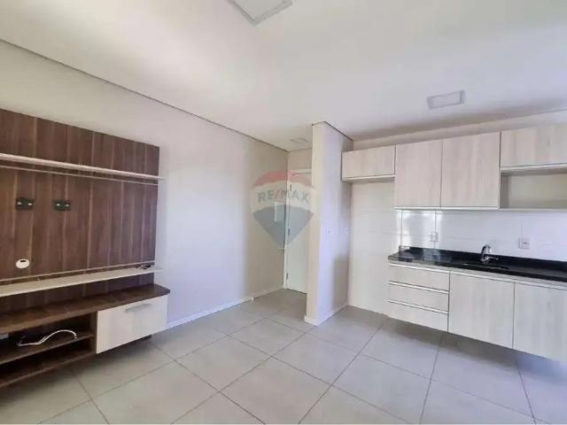 Apartamento aluguel em Região Geográfica Imediata de Passo Fundo, Passo Fundo