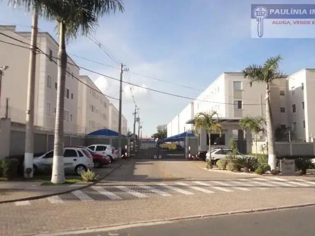 Apartamento aluguel em Região Imediata de Campinas, Região Metropolitana de Campinas