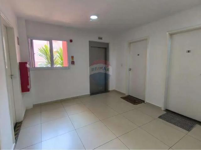 Apartamento aluguel em Região Imediata de Campinas, Região Metropolitana de Campinas