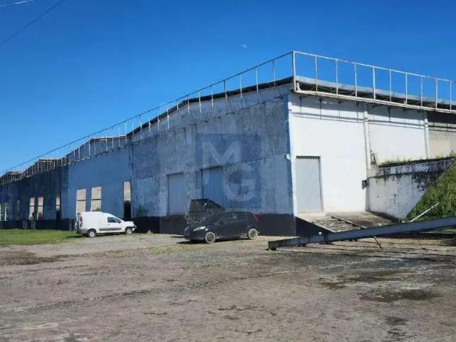 Apartamento aluguel em Região Geográfica Imediata do Recife, Região Metropolitana do Recife