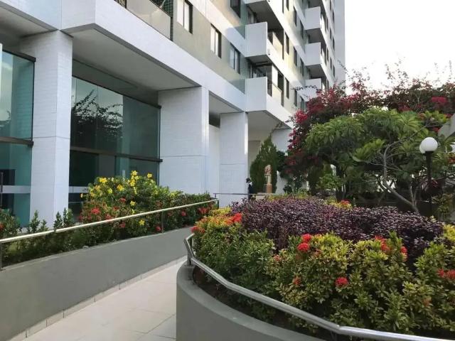 Apartamento aluguel em Região Geográfica Imediata do Recife, Região Metropolitana do Recife