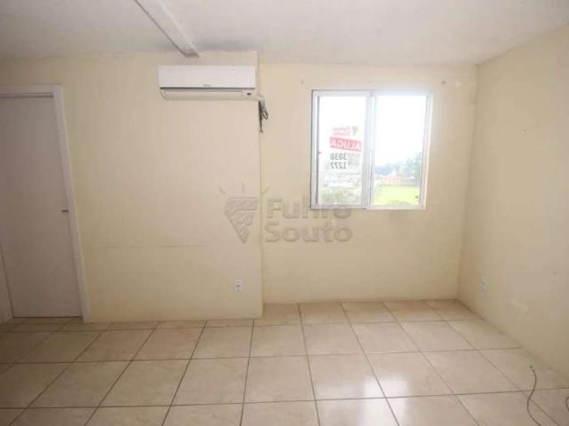 Apartamento aluguel em Pelotas, Areal