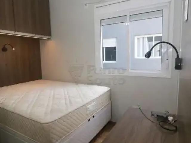 Apartamento aluguel em Região Geográfica Imediata de Pelotas, Aglomeração Urbana do Sul