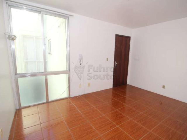 Apartamento aluguel em Pelotas, Centro